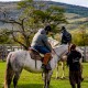 Half Day Cabalgata Laguna Sofía